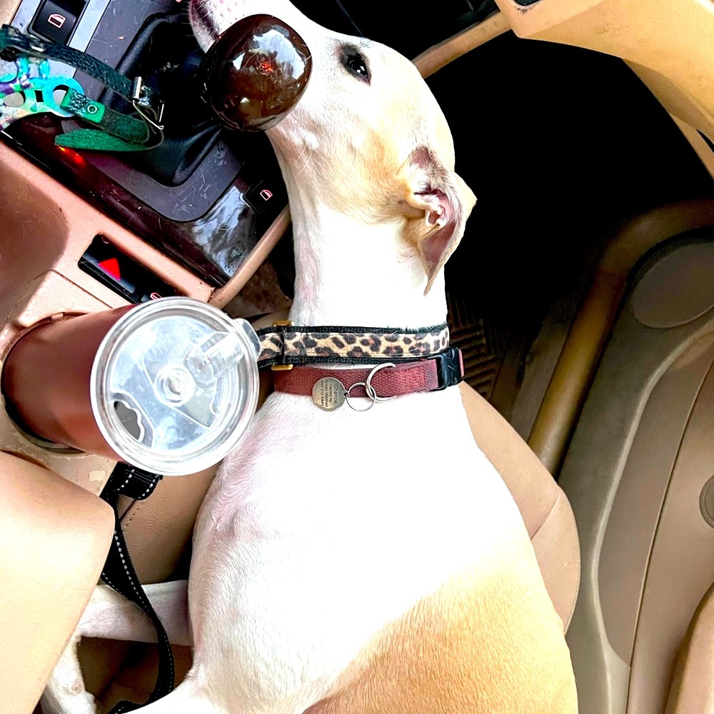 Meet your Posher, Mike